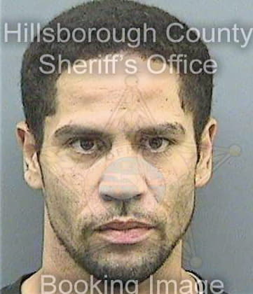 Sanchez Noel - Hillsborough County, FL 