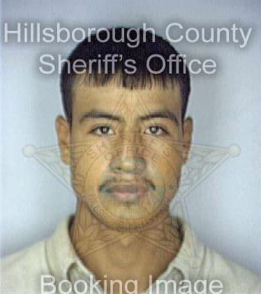 Silva Carlos - Hillsborough County, FL 