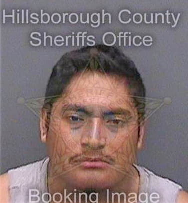 Lucashernandez Victor - Hillsborough County, FL 