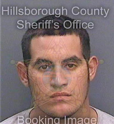 Carrazanaramirez Ivan - Hillsborough County, FL 