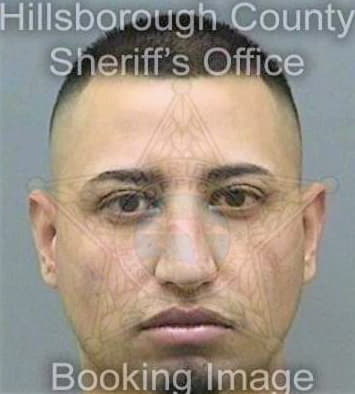 Solorionavarro Ernesto - Hillsborough County, FL 