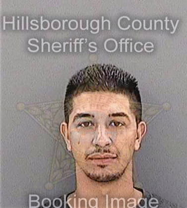 Delrio William - Hillsborough County, FL 