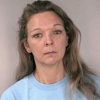 Simmons Michele - Hillsborough County, FL 