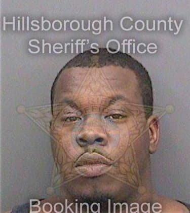 Hamilton Alvin - Hillsborough County, FL 