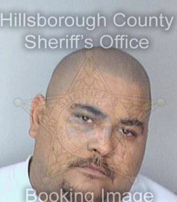 Bernier David - Hillsborough County, FL 