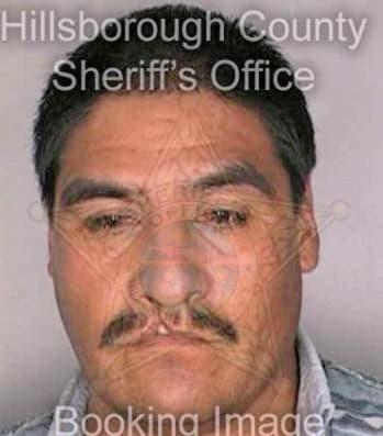 Lugotrejo Jeronimo - Hillsborough County, FL 