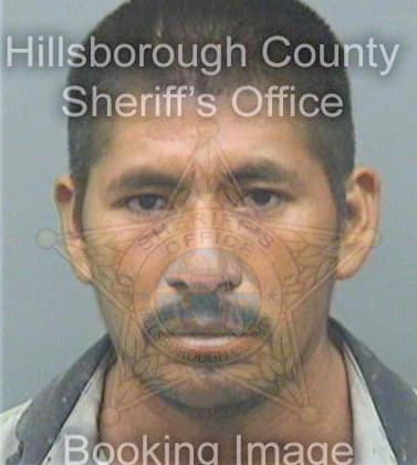 Lopez Miquel - Hillsborough County, FL 