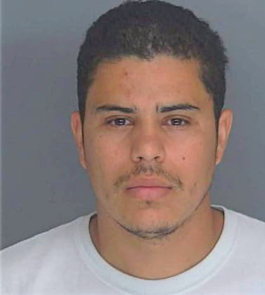 Hernandez David - Douglas County, GA 