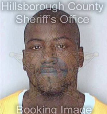 Mcafee Derrick - Hillsborough County, FL 