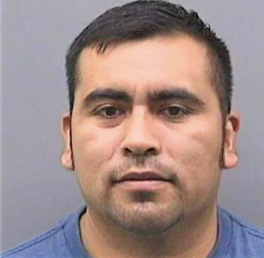 Mendoza Nicolas - Hillsborough County, FL 