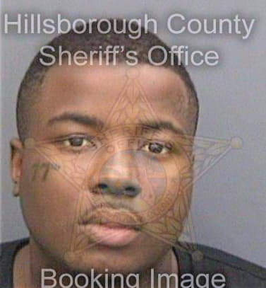 Norton Curtis - Hillsborough County, FL 