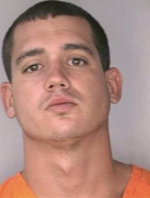 Sileo Michael - Hillsborough County, FL 