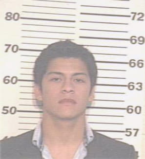 Pena Michael - Hidalgo County, TX 