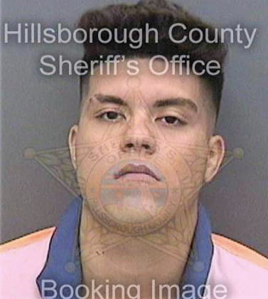 Benitez Heriberto - Hillsborough County, FL 