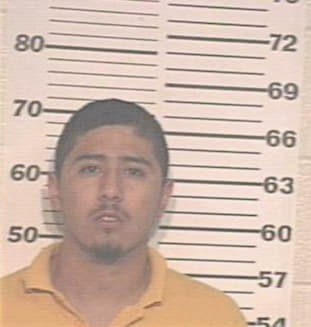 Contreras Jesus - Hidalgo County, TX 