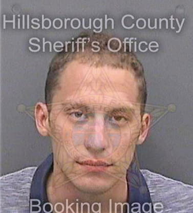 Mccann Alexander - Hillsborough County, FL 