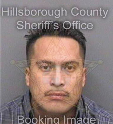 Salinashernandez Camilo - Hillsborough County, FL 