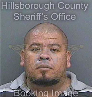 Sanchez Rodolfo - Hillsborough County, FL 