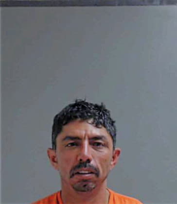 Diaz Joel - Hidalgo County, TX 