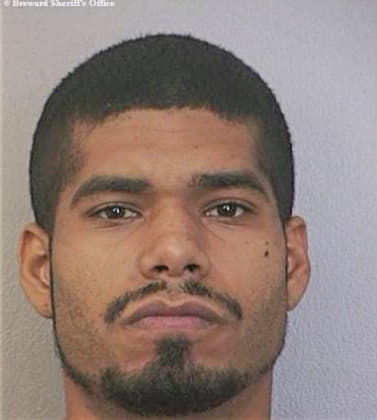 Soto Reyner - Broward County, FL 