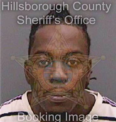 Hammond Boris - Hillsborough County, FL 