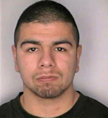 Bocanegra Martin - Hillsborough County, FL 
