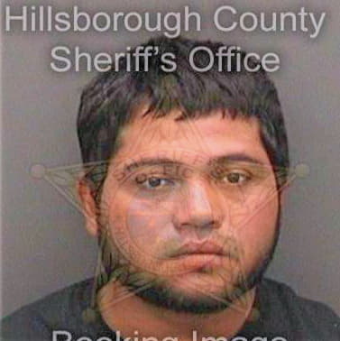 Mendozadelacruz Luis - Hillsborough County, FL 