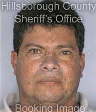 Ramos Arturo - Hillsborough County, FL 