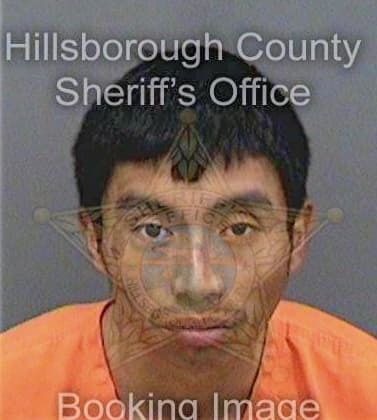 Lopezgomez Esteban - Hillsborough County, FL 