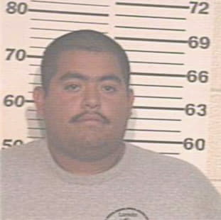 Cardenas Sergio - Hidalgo County, TX 