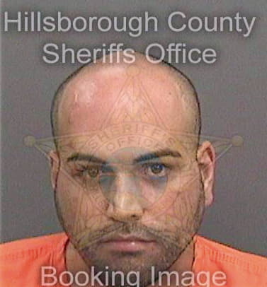 Martin Diosdado - Hillsborough County, FL 