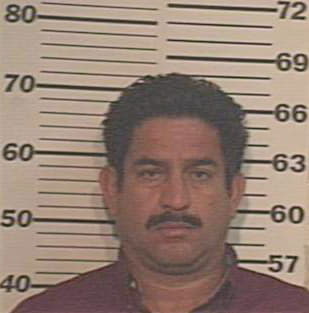 Hernandez Luis - Hidalgo County, TX 