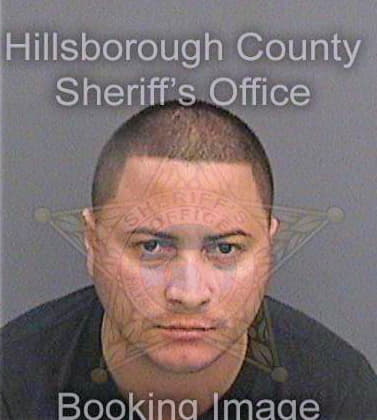 Marinnegron Wilfredo - Hillsborough County, FL 