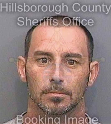 Thompson David - Hillsborough County, FL 