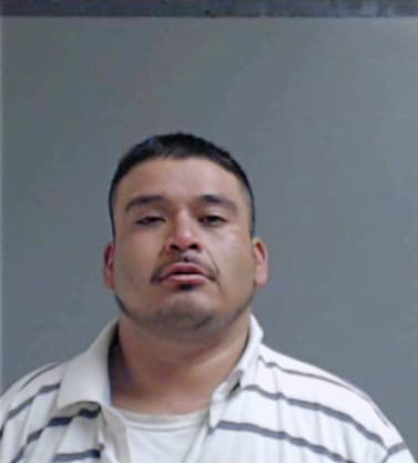 Hernandez Jesse - Hidalgo County, TX 