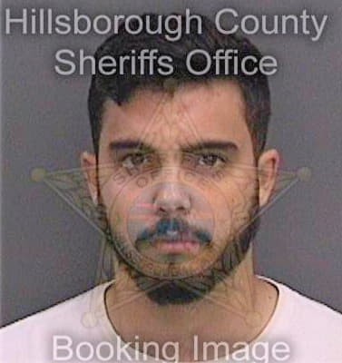 Martinperez Raidel - Hillsborough County, FL 