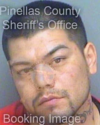 Hernandez Jose - Pinellas County, FL 