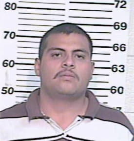 Mireles Luis - Hidalgo County, TX 