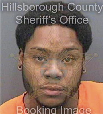 Despanza Garret - Hillsborough County, FL 