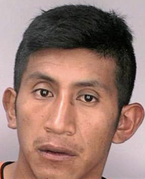 Mendez Nicolas - Hillsborough County, FL 
