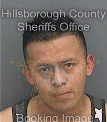 Mateobartolome Donald - Hillsborough County, FL 