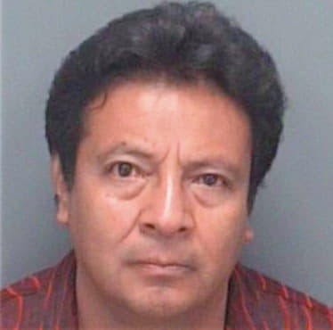 Lopez Jorge - Pinellas County, FL 