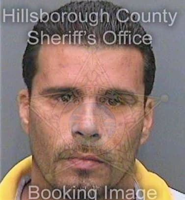 Gonzalez Ramon - Hillsborough County, FL 