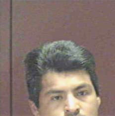 Mendez Louis - Rhea County, TN 