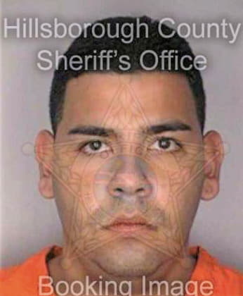 Ramerizsaavedra Carlos - Hillsborough County, FL 