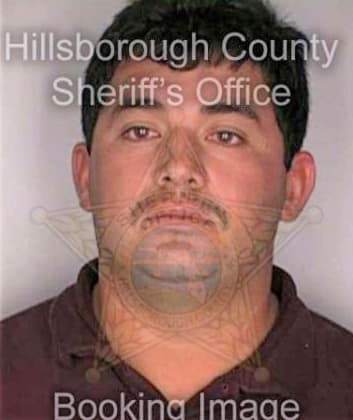 Gonzalez Jose - Hillsborough County, FL 