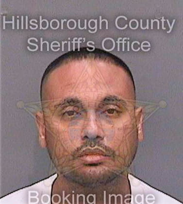 Torresrodriguez Martin - Hillsborough County, FL 