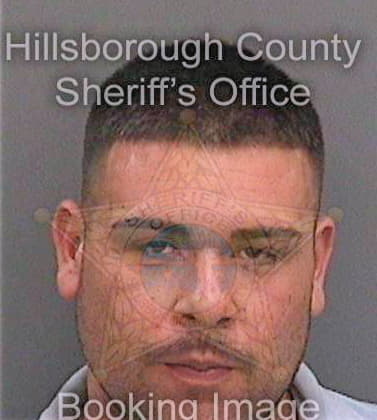 Diaz Michael - Hillsborough County, FL 