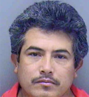 Galvan Miguel - Lee County, FL 