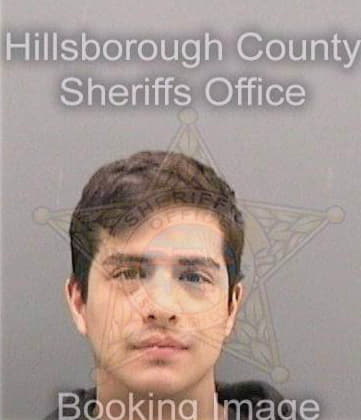 Bergez Ryan - Hillsborough County, FL 